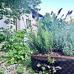 Dolce Maison d'hôtes 3*