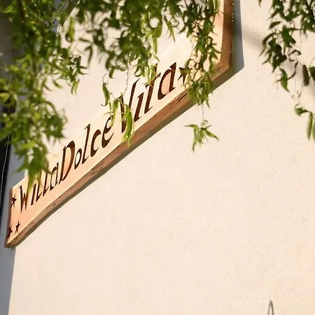 Dolce 게스트하우스 3*