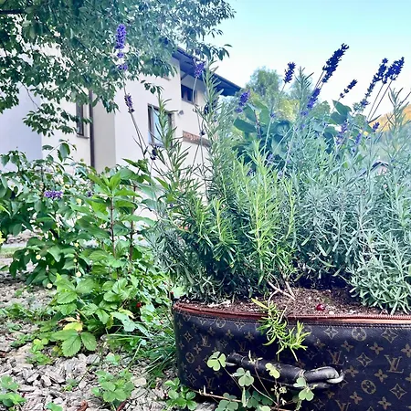 Dolce Πανσιόν 3*