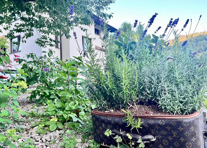 Dolce Guest house 3*